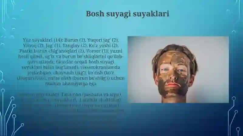 Boshning yuz qismi suyaklari 3