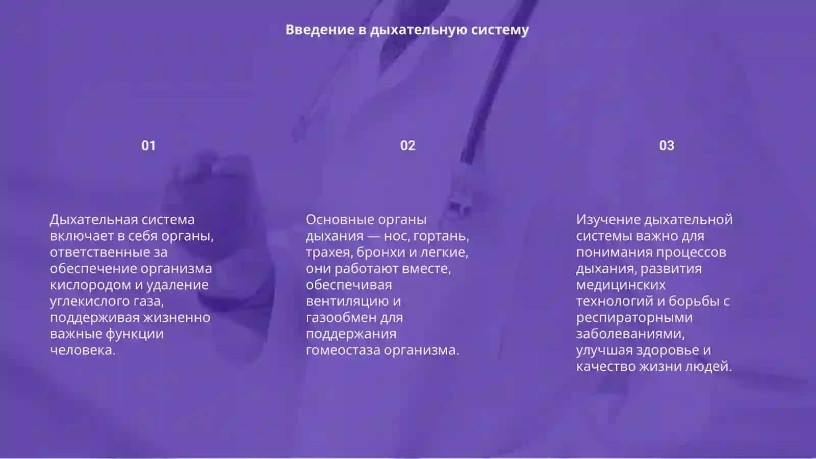 Система органов дыхания 3