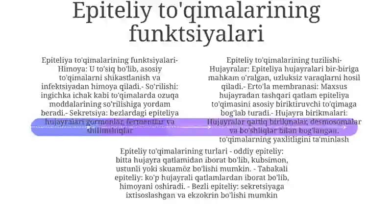 Epiteliy ToʻQimasi Va Uning Tuzilishi 3