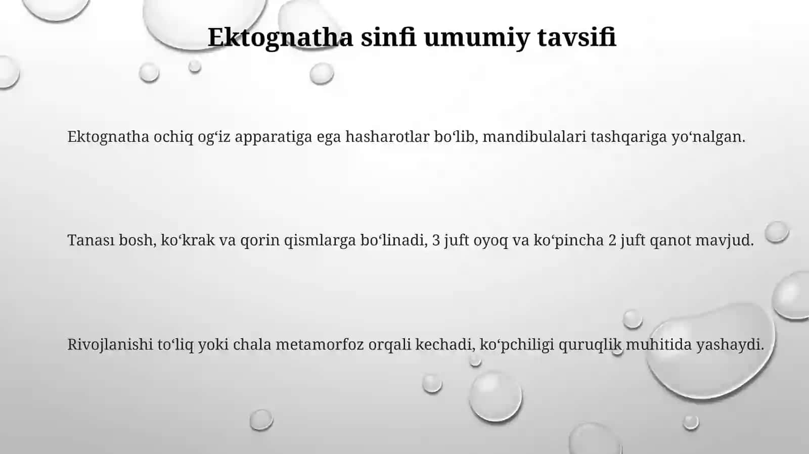 Ninachilar turkumi 3