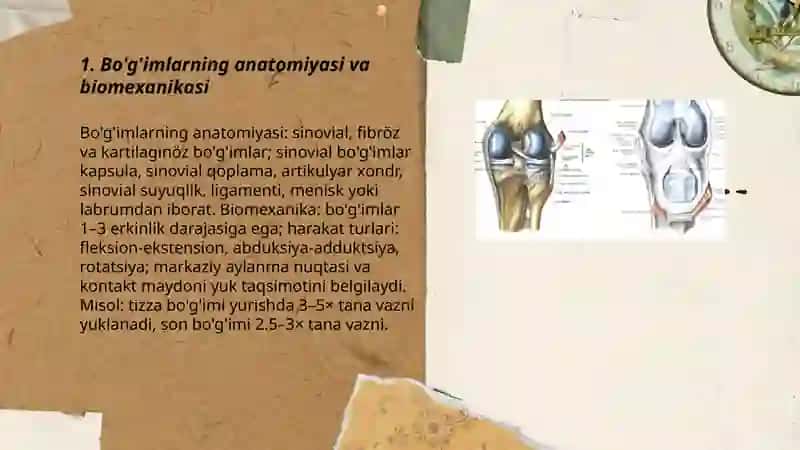 Bo'g'imlar biomexanikasi 3