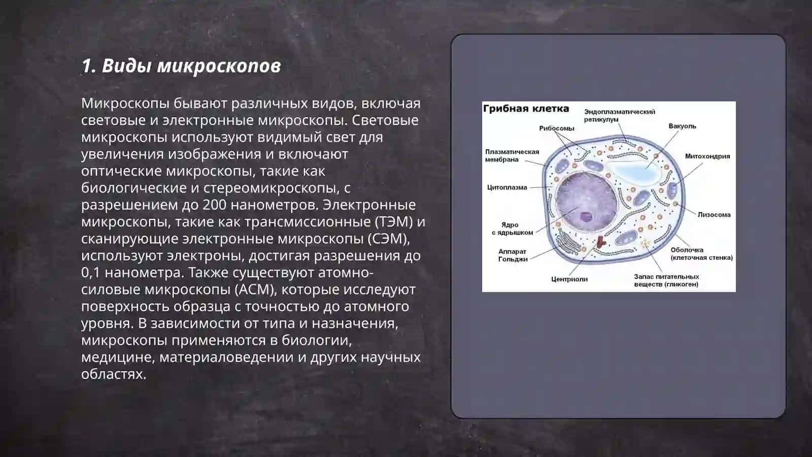 ПРЕЗЕНТАЦИЯ ПО БИОЛОГИИ 3