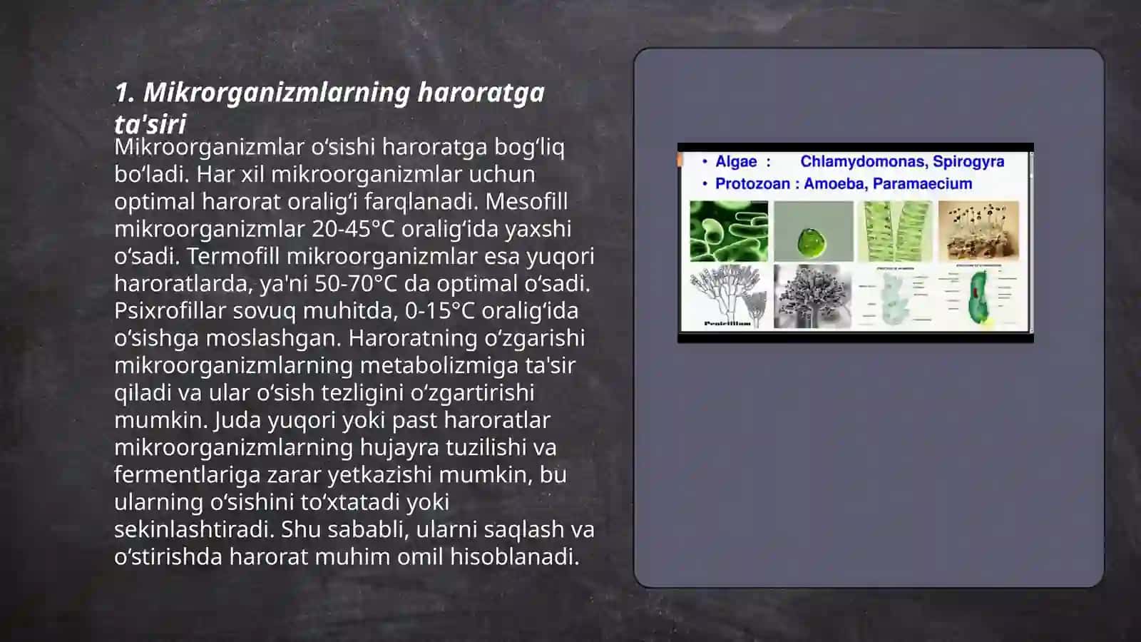 Mikroorganizmlarga tashqi muhit tasiri 3