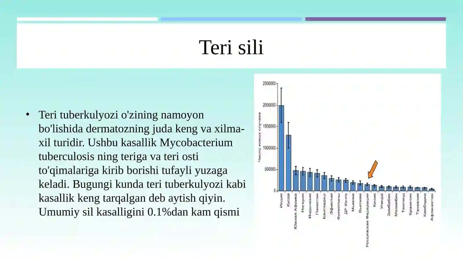 Teri sili taqdimot 3