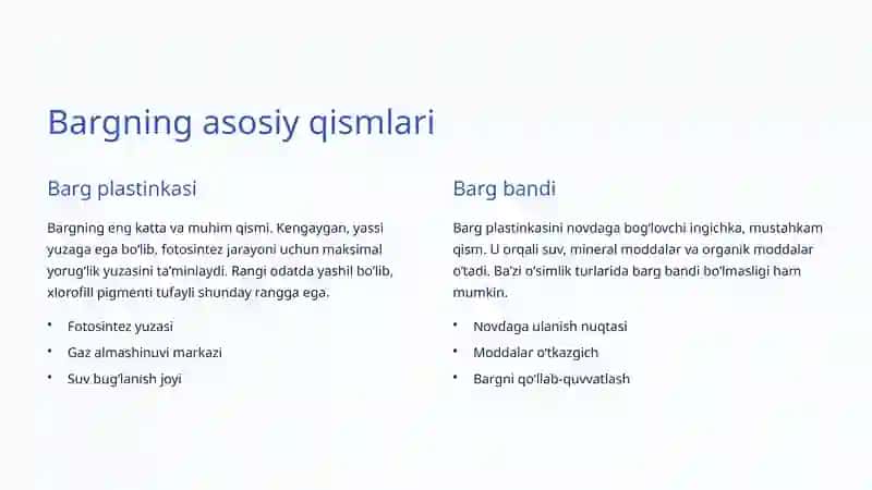 Bargning Anatomiyasi: Oʻsimliklarning Hayotiy Organlari 3