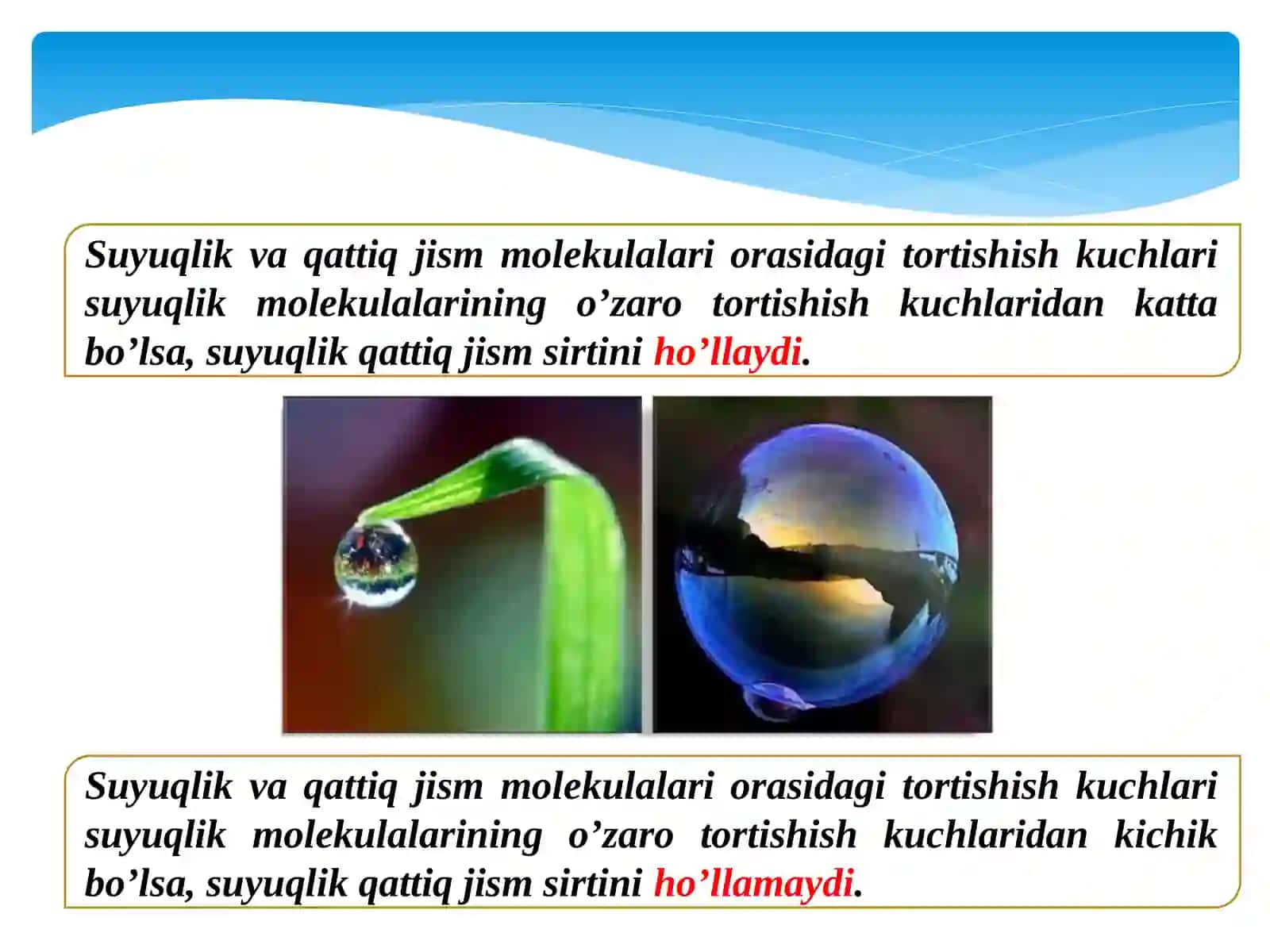 HO’LLASH. KAPILLYAR HODISALARI 3