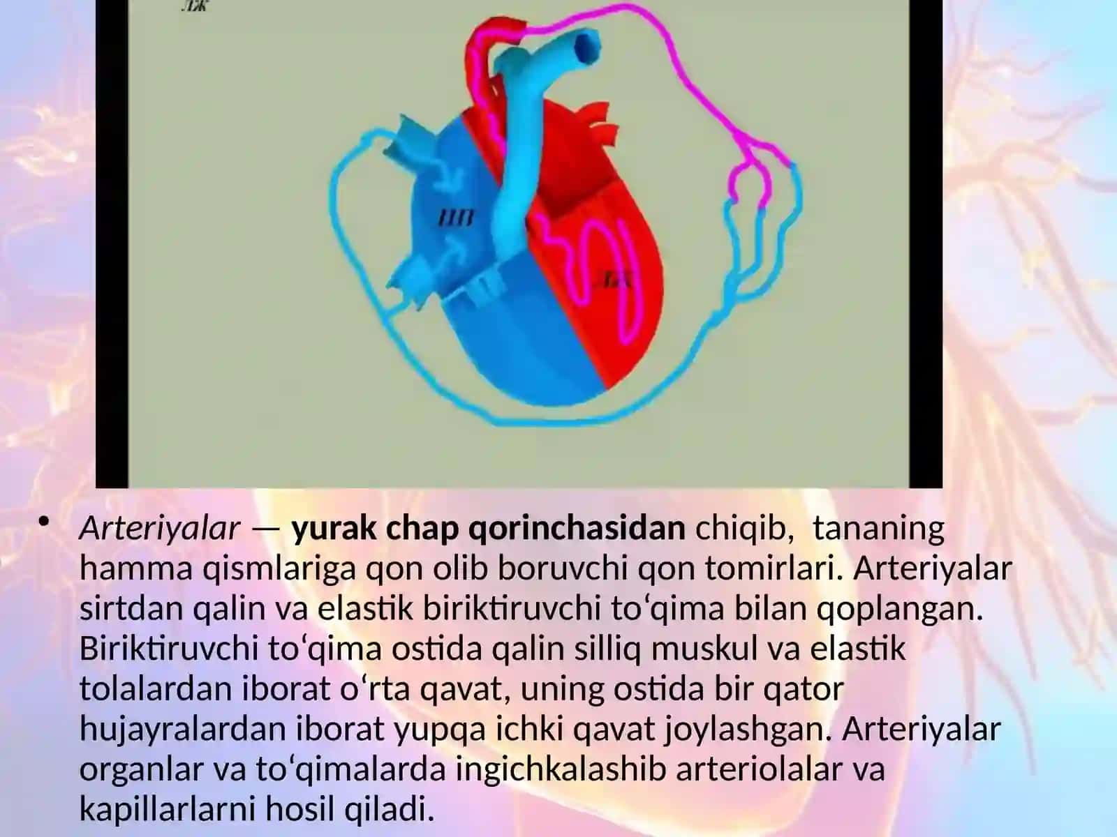 Odam va uning salomatligi 3