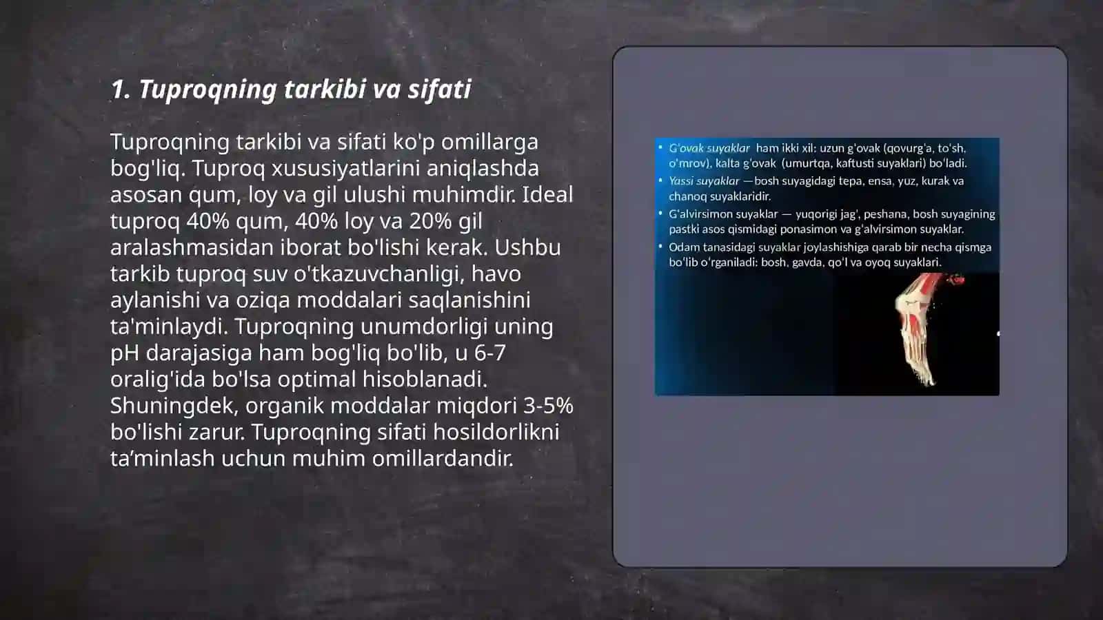 Tuproqning tarkibi va sifati 3