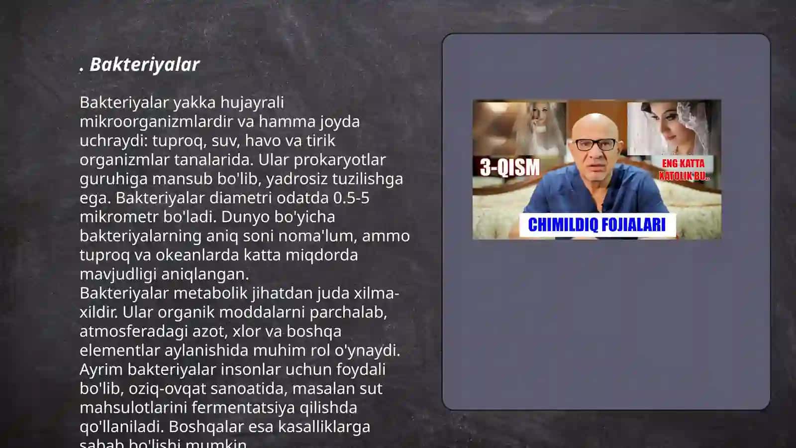 Bakteriyalar 3
