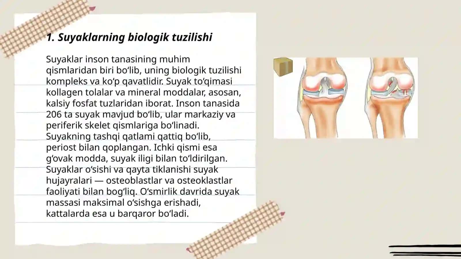 Suyaklarning birlashuvi 3
