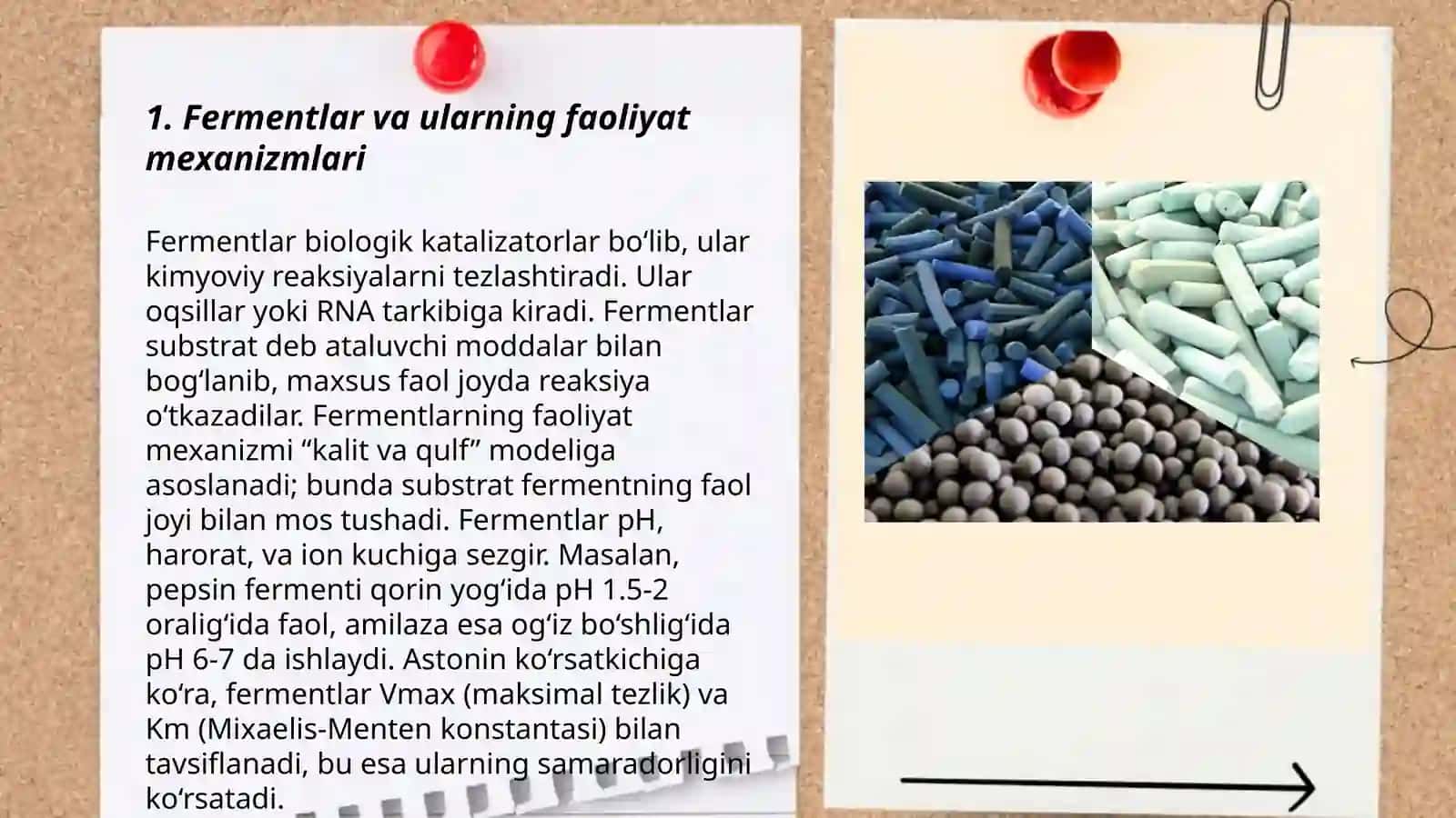 Fermentlar va ularning faoliyat mexanizmlari 3
