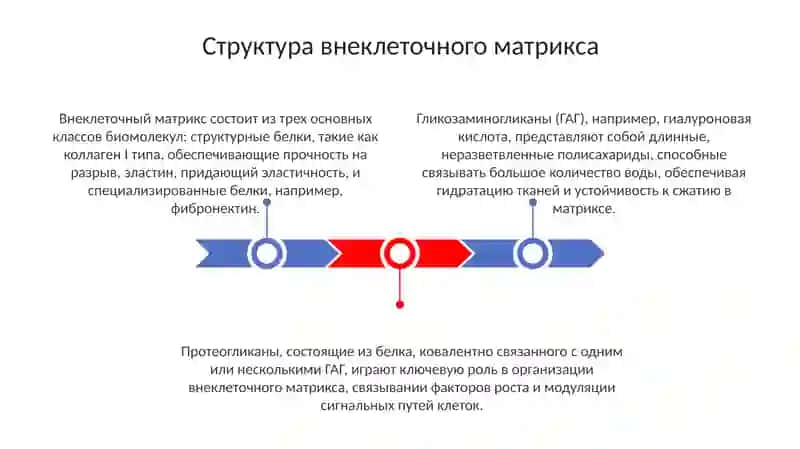 Презентация 3