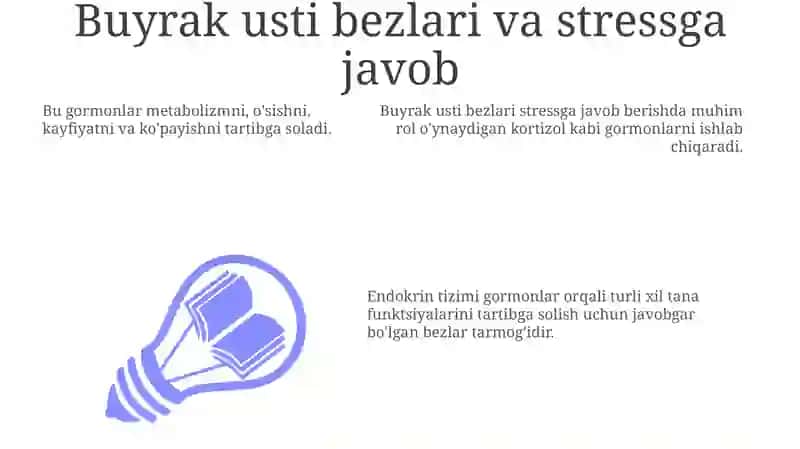 Endokrin Sistema: Umumiy Ma'lumot 3