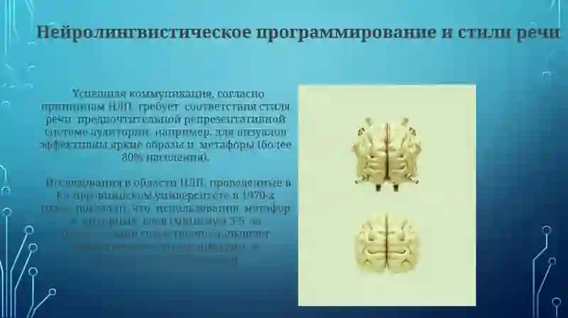 Головной мозг. Стили речи 3