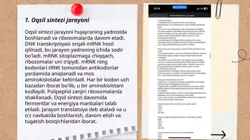 Oqsilar va ularni buzilishi 3