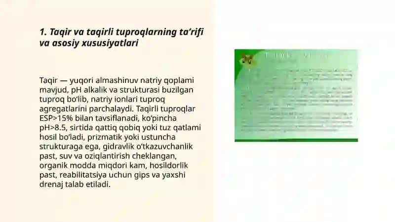 Taqir va taqirli tuproqlar 3