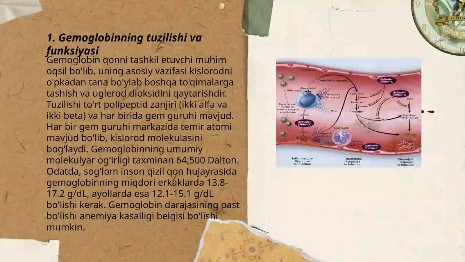 Gemoglabinga oid patofiziologiya 3