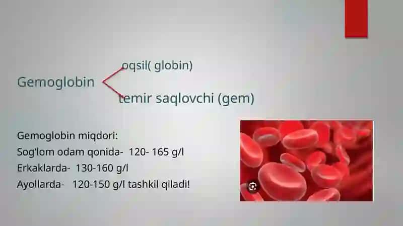 Gemoglobin haqida umumiy tushuncha 3