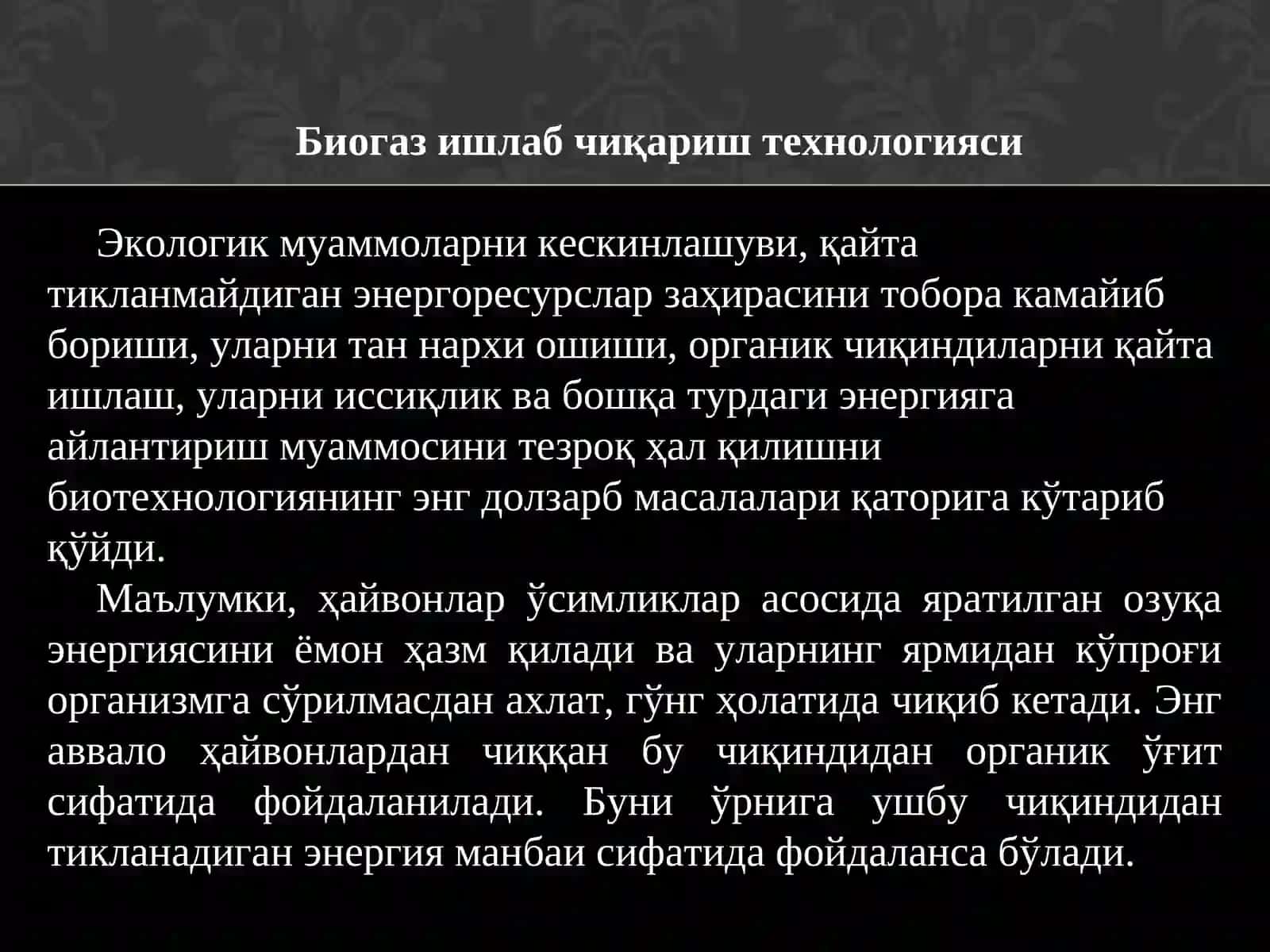 Биогаз 3