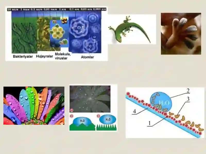 Nanotexnologiyalar 3