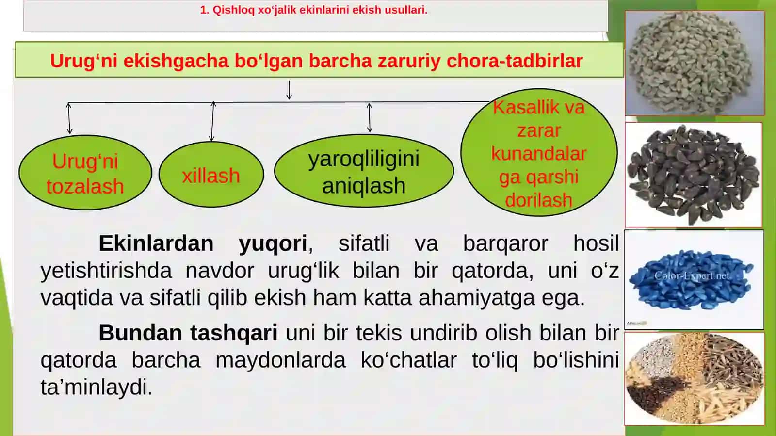 QISHLOQ XO‘JALIK EKINLARINI EKISH USULLARI 3