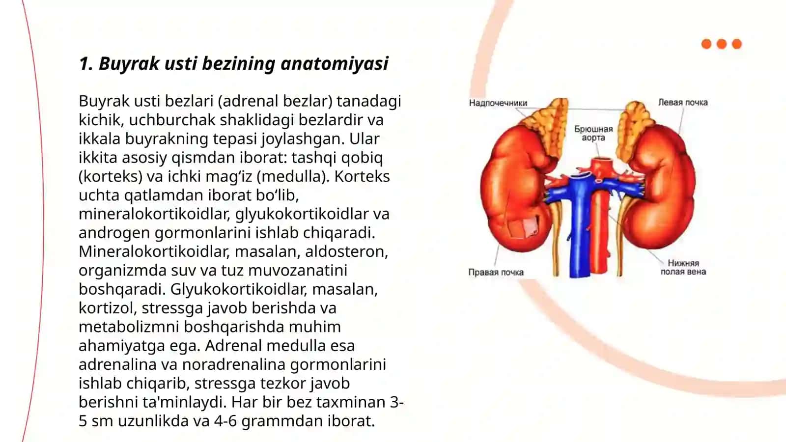 Buyrak usti bezi garmonlari 3