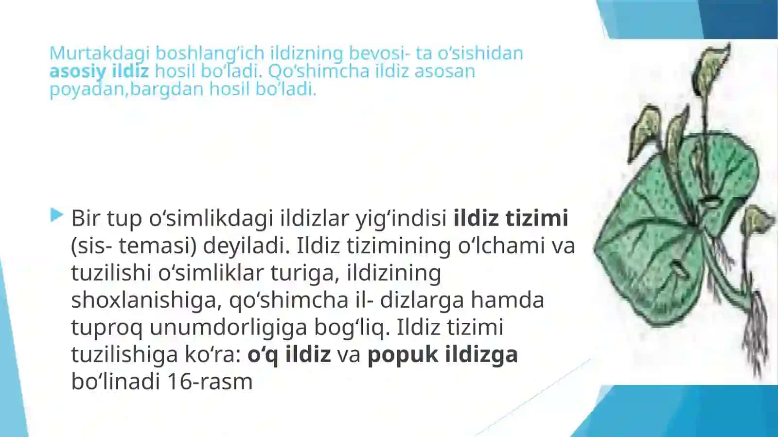 ILDIZvaUNING TURLARI 3