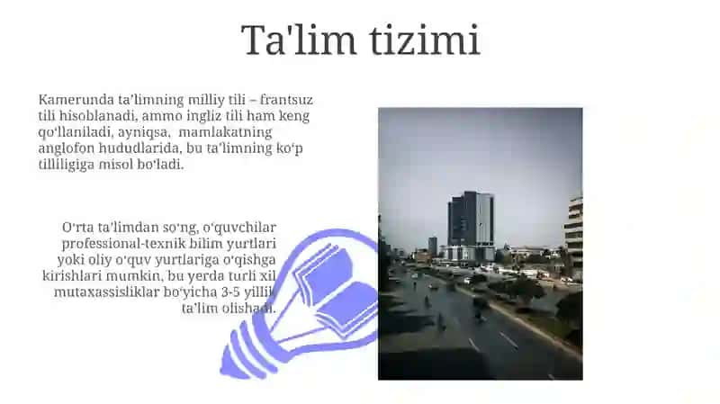 Kamerun Davlati 3