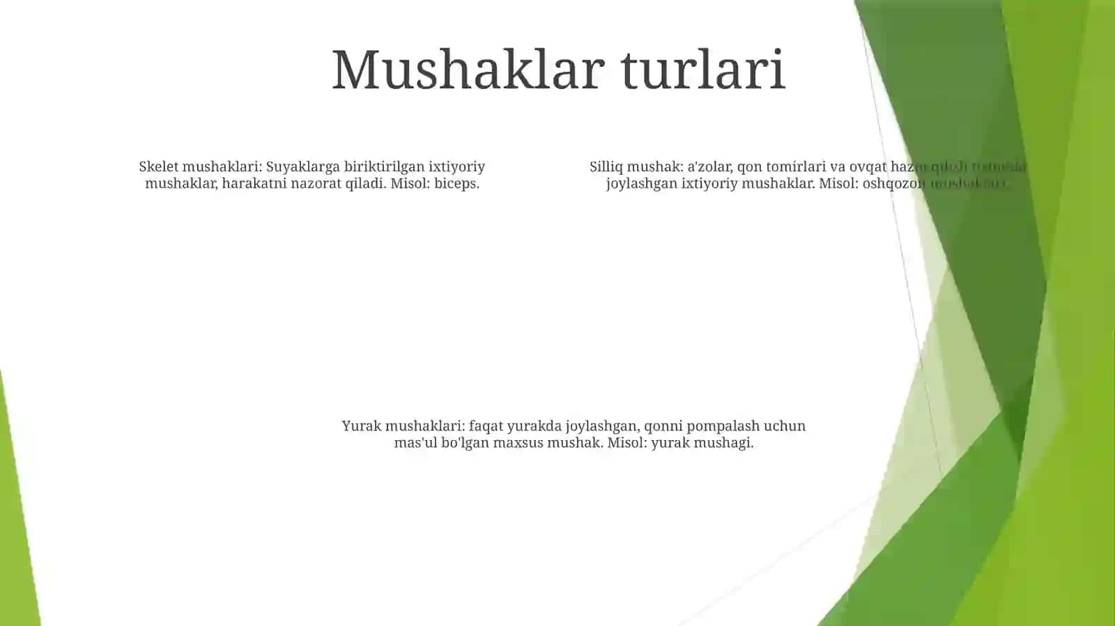 Muskul tolasi turlari 3