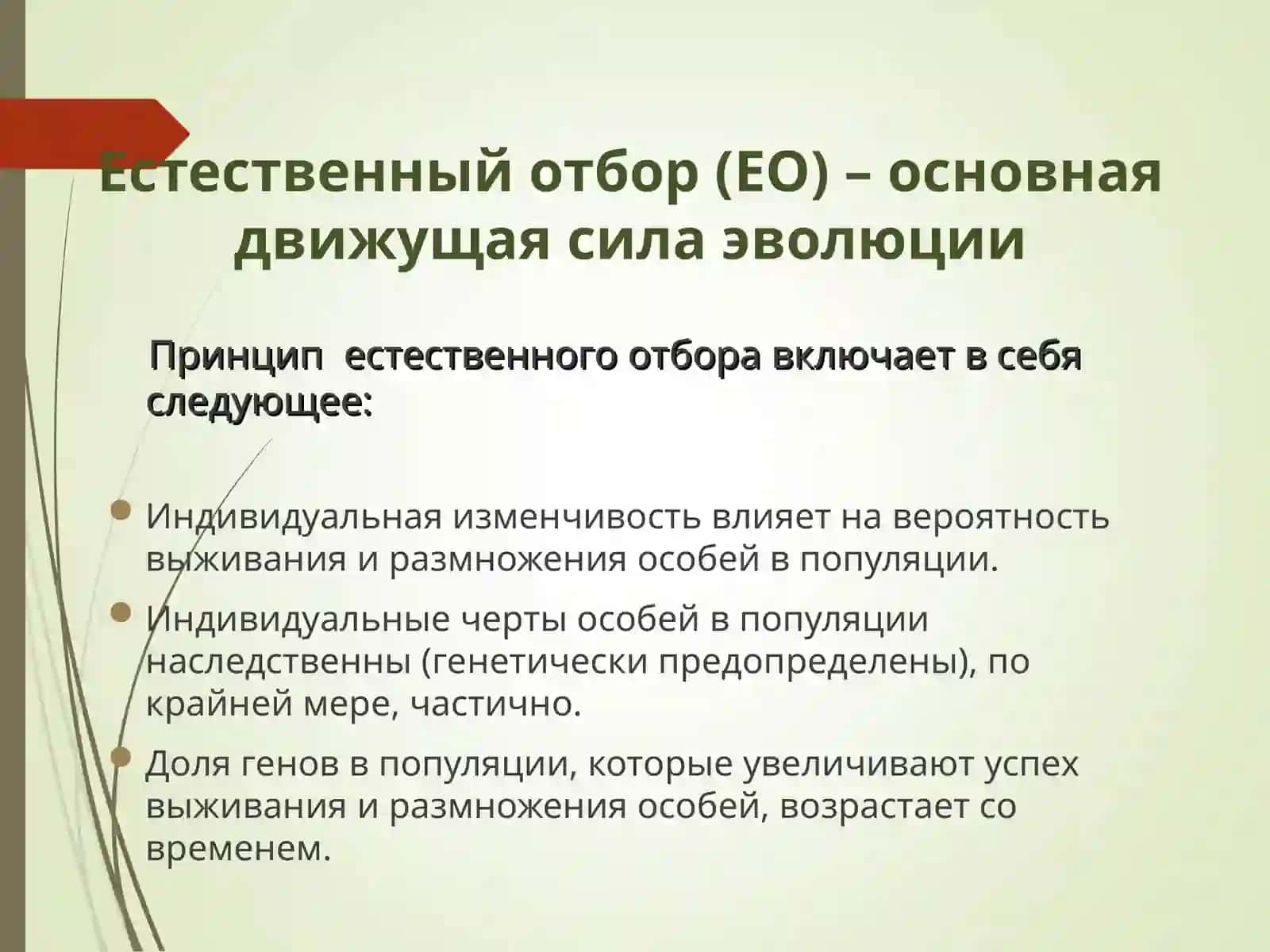 Естественный отбор и его значение в эволюции 3
