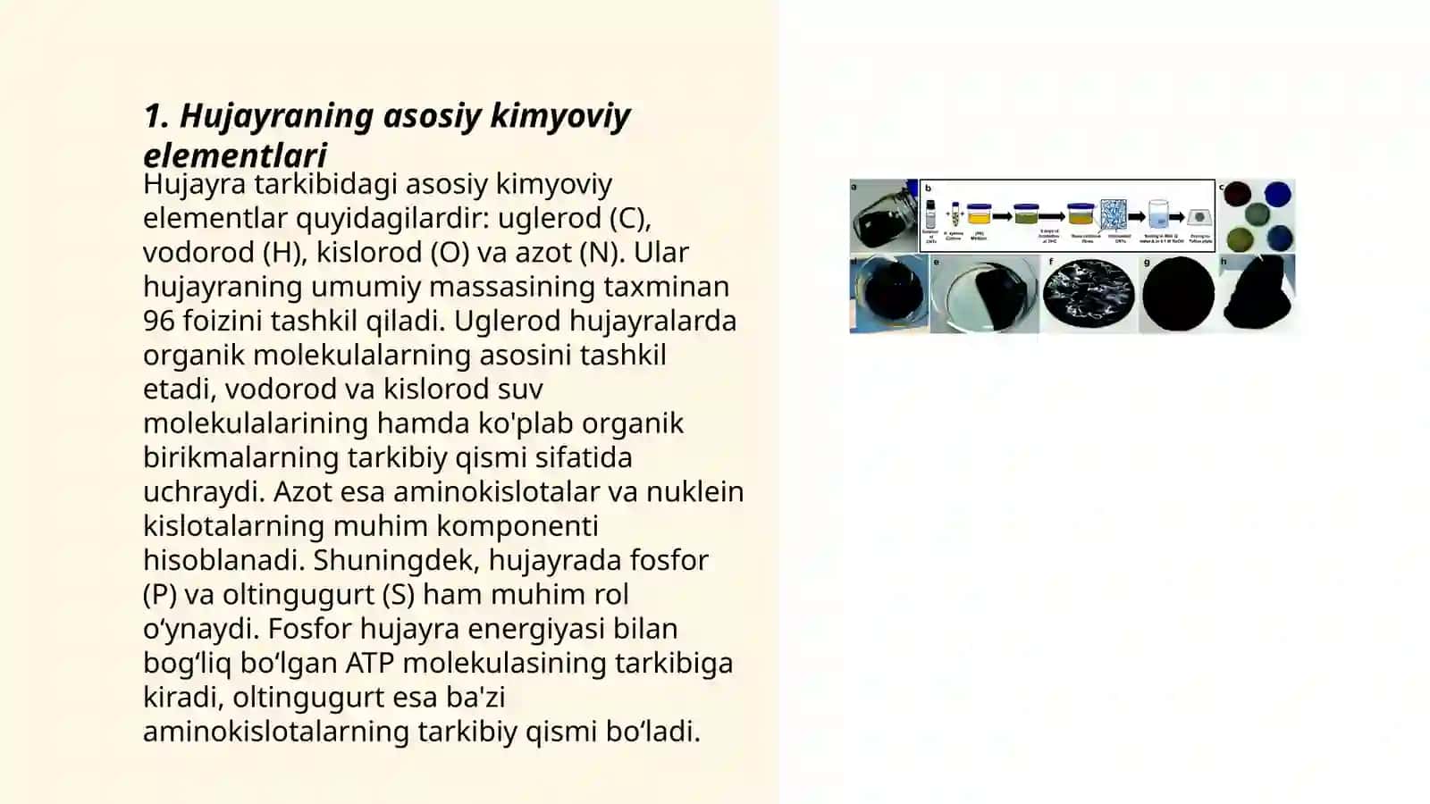 Hujayraning kimyoviy tarkibi 3