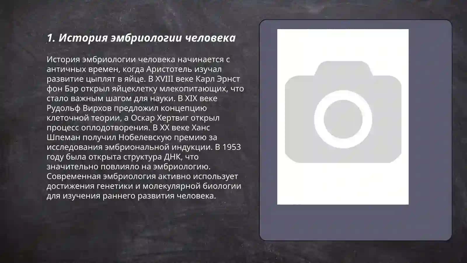 ЭМБРИОЛОГИЯ ЧЕЛОВЕКА 3
