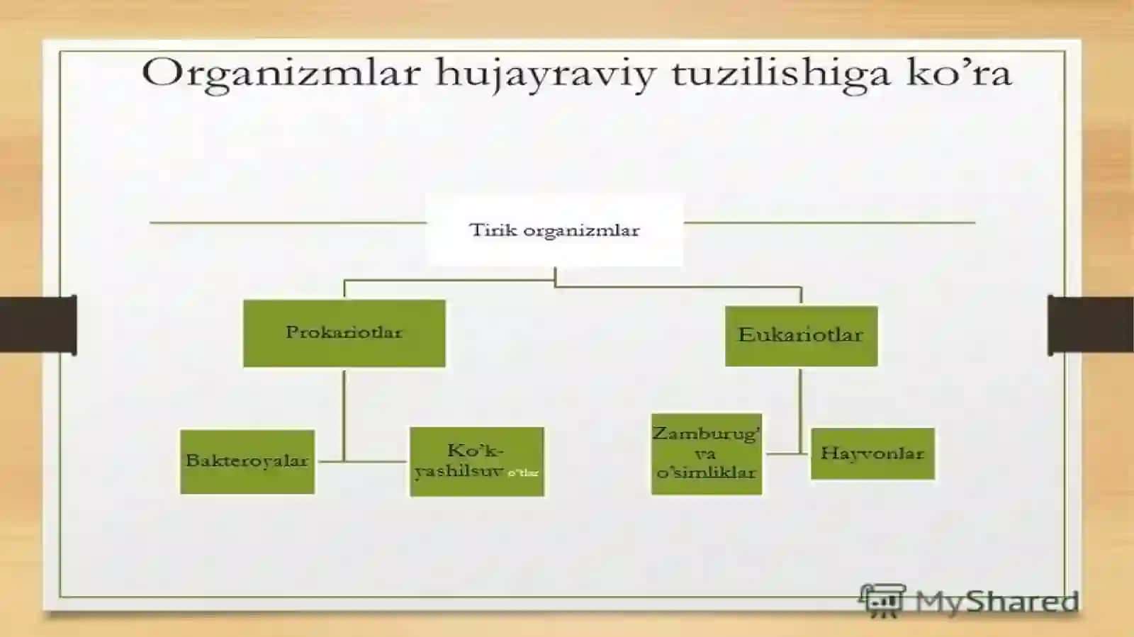 Tirik organizmlarning kimyoviy asoslari 3
