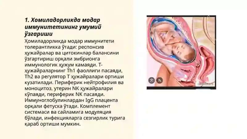 Хомиладорликда иммунитет хусусиятлари 3