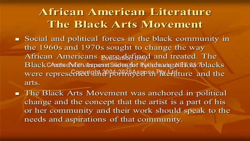 Afro-americans literature 3