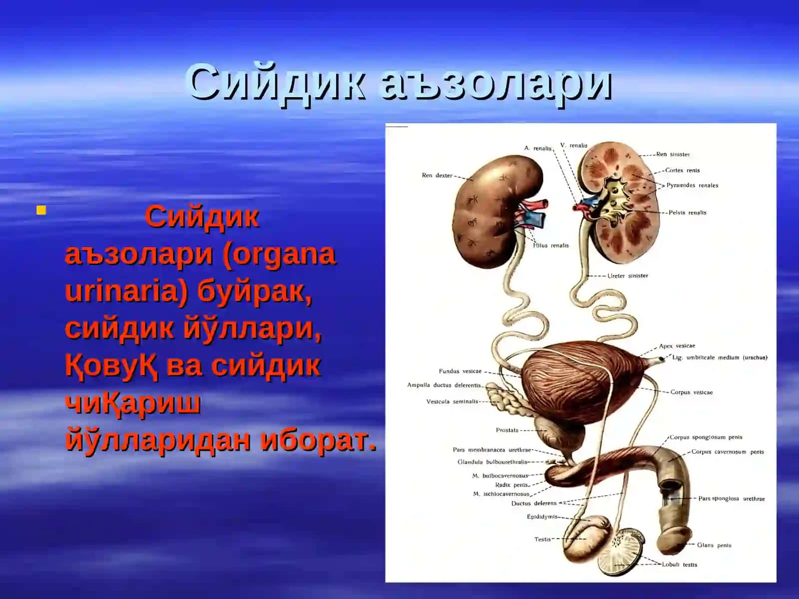 Айириш системаси 3