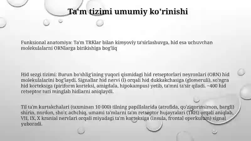 Ta'm bilish va hid bilish aʼzolarining funksional anatomiyasi 3