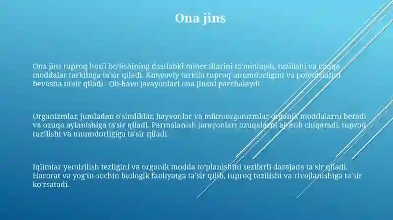 Tuproq hosil bo'lish jarayoni 3