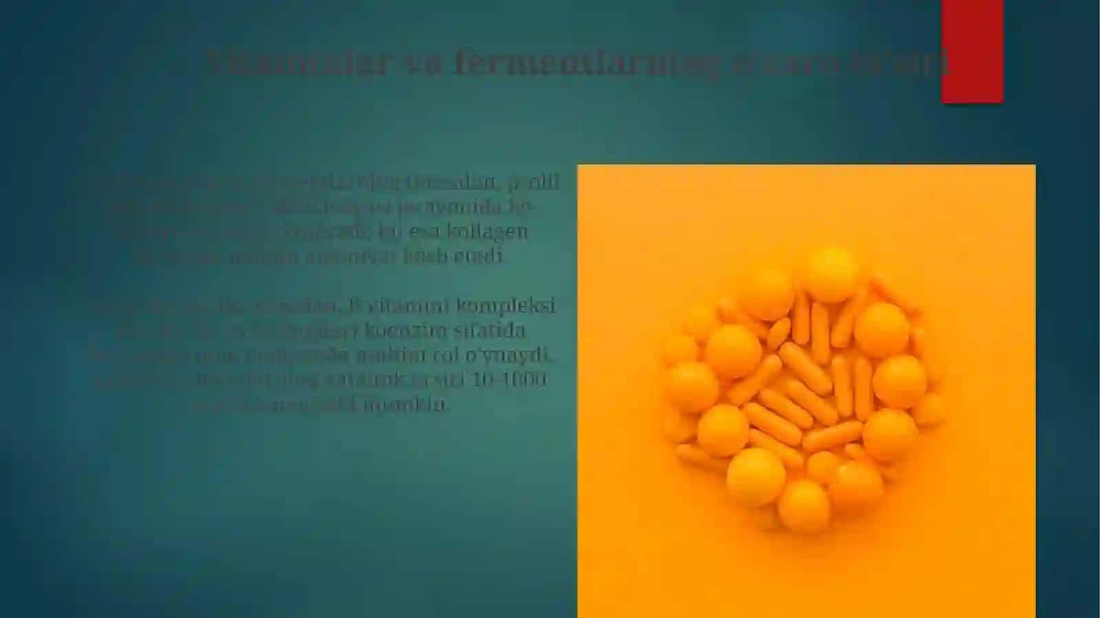 Vitaminlar va fermentlar 3