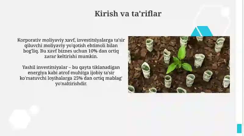 Korporativ moliyaviy xavf va investitsiyalar 3