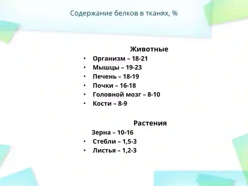 Белки 3