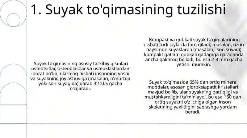 Suyak tõqimasi 3