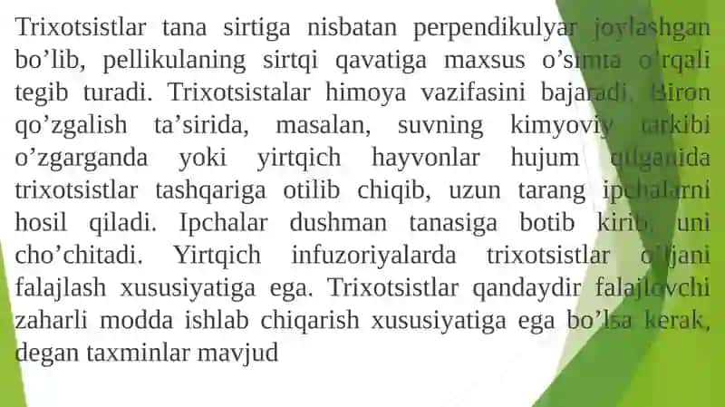 ALVEOLATATIPI 3