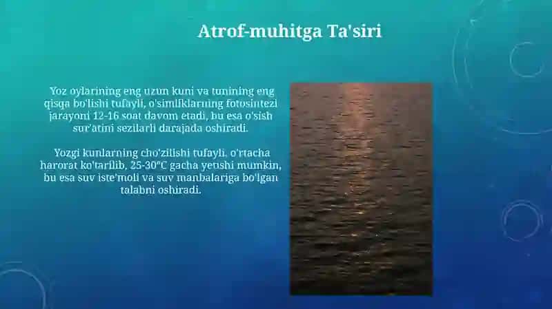 Eneplit Shummer svlezatsiyasi 3