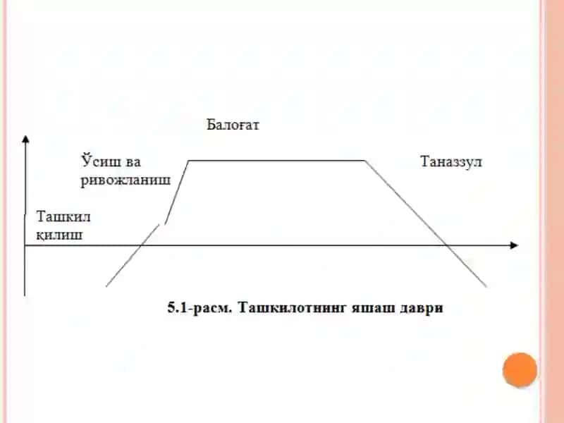 MENEJMENT FANI 2-. TAHKILOTLAR VA ULARNI BOSHQARISH 3