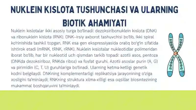 Nuklein kislotalar 3
