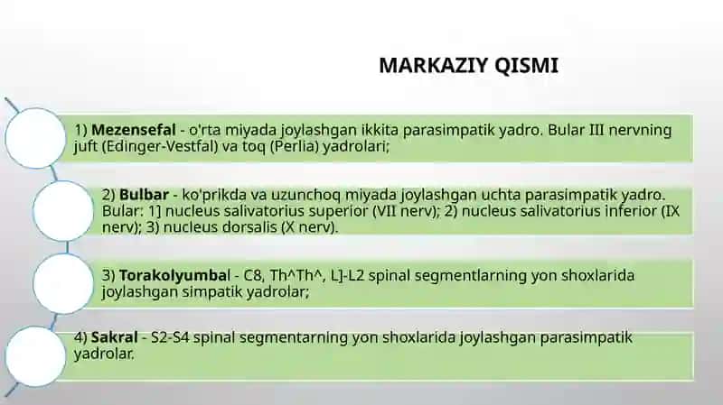 Vegetativ nerv sistemasi 3