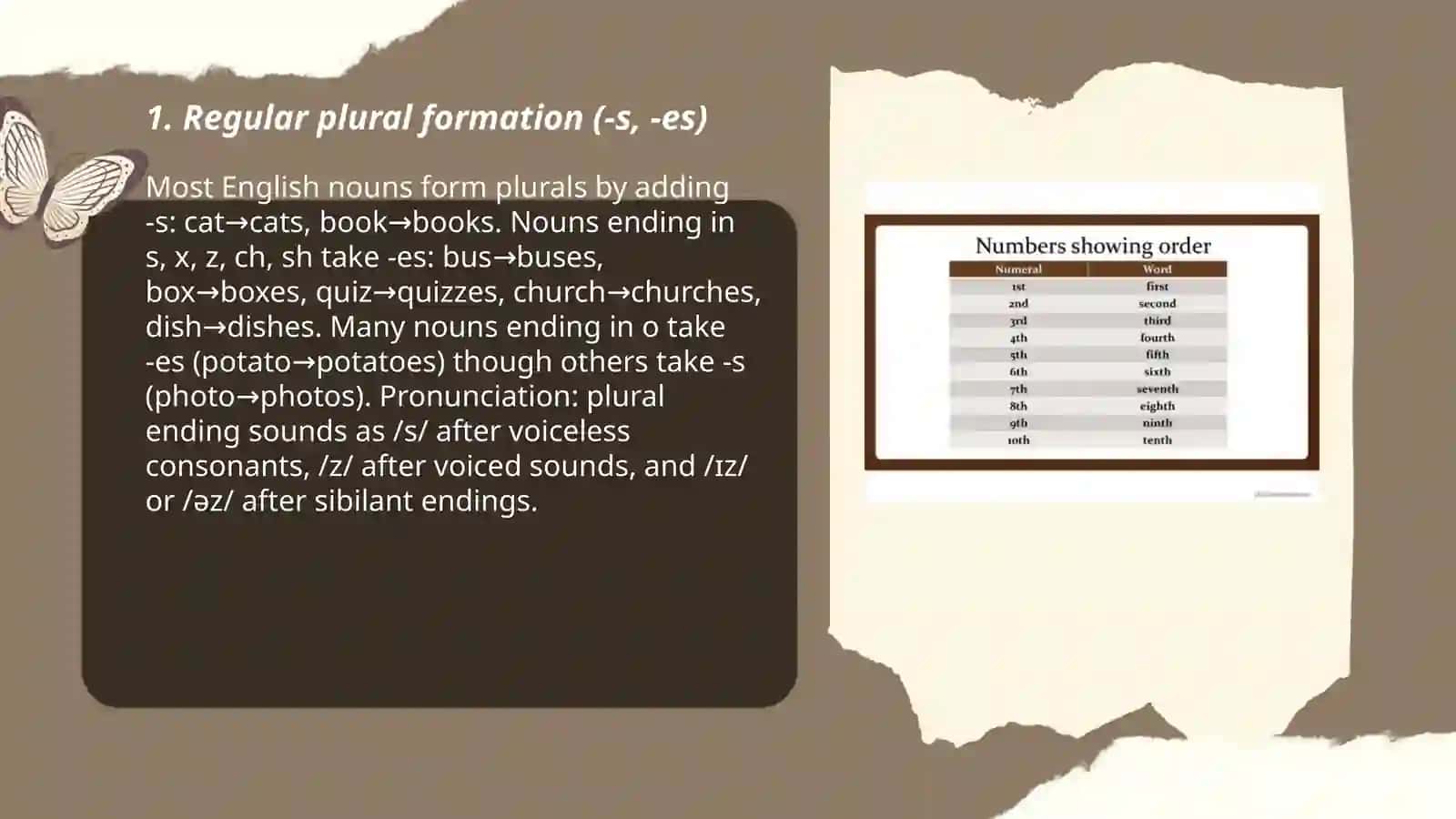 Number and pluralization 3