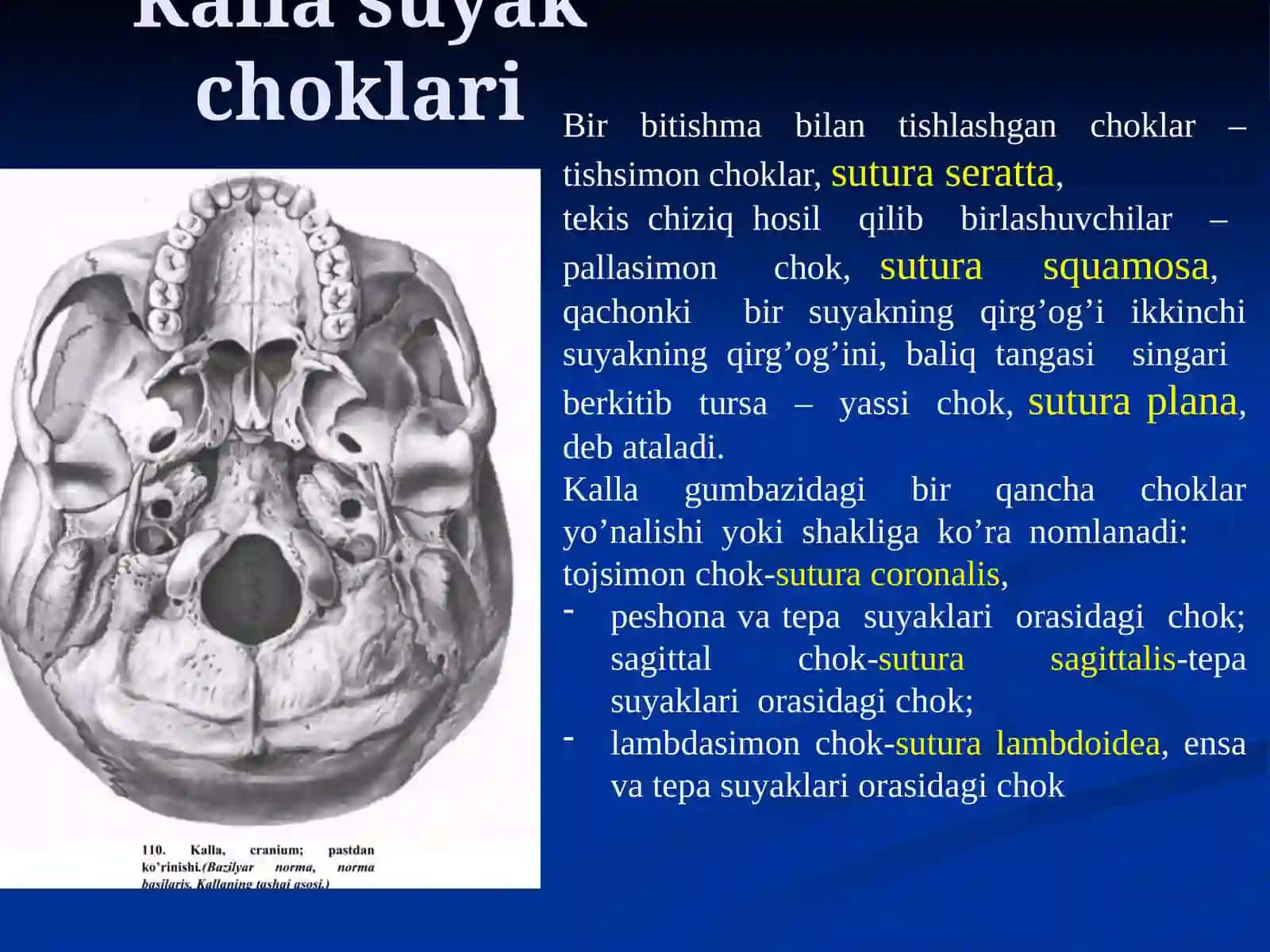 PhD,Катта ўқитувчи:Султонов.Р.К 3