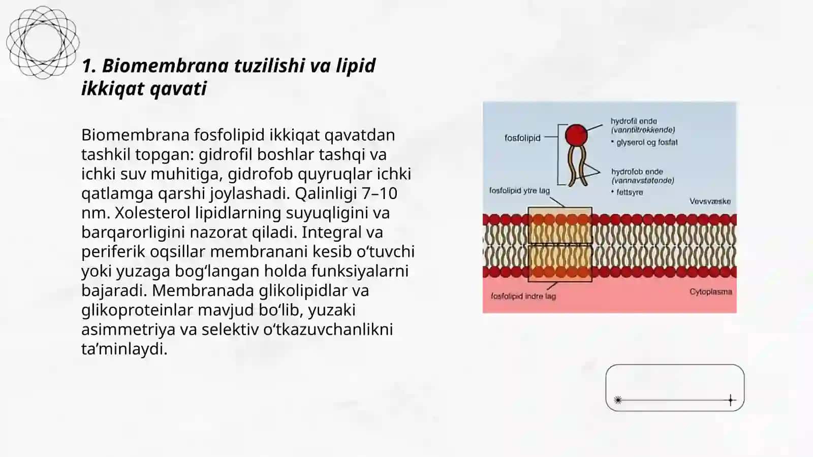Biomembrana 3